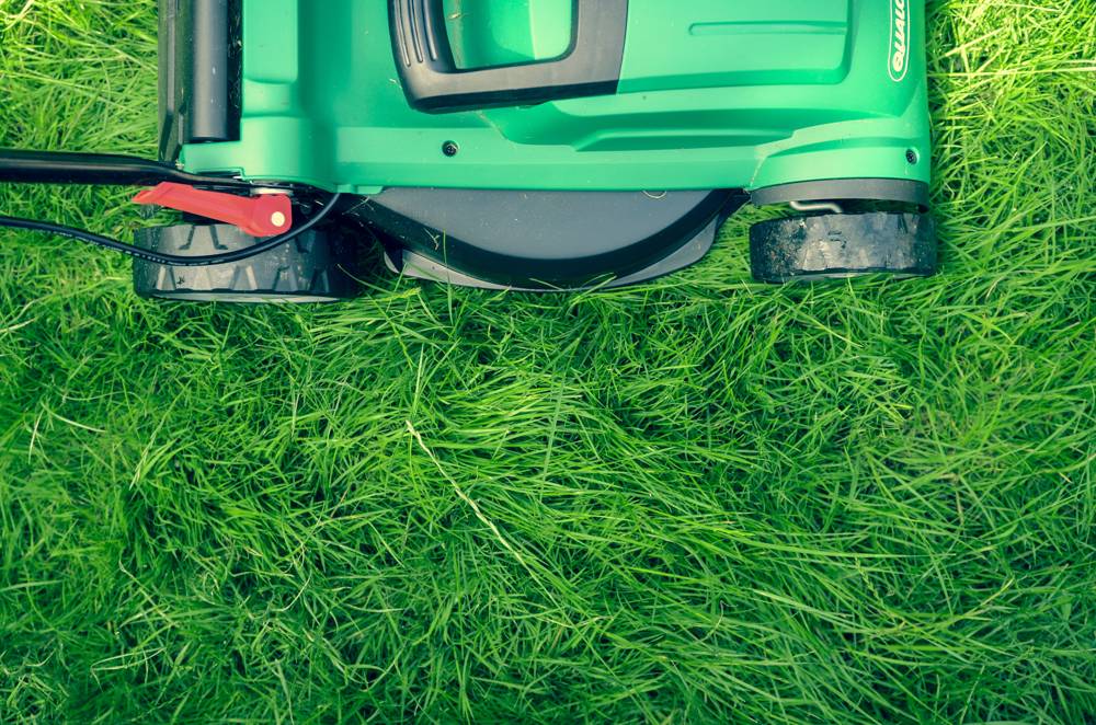 Picture of a lawnmower on green grass.