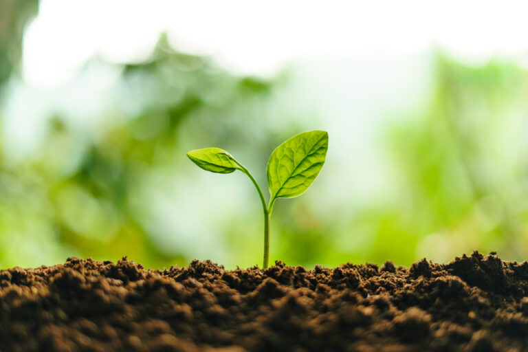 Soil Removal Service RecycleZone